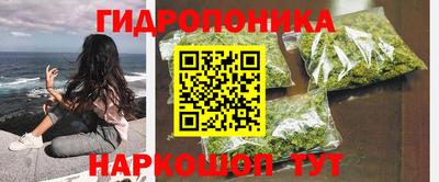 спиды Обь
